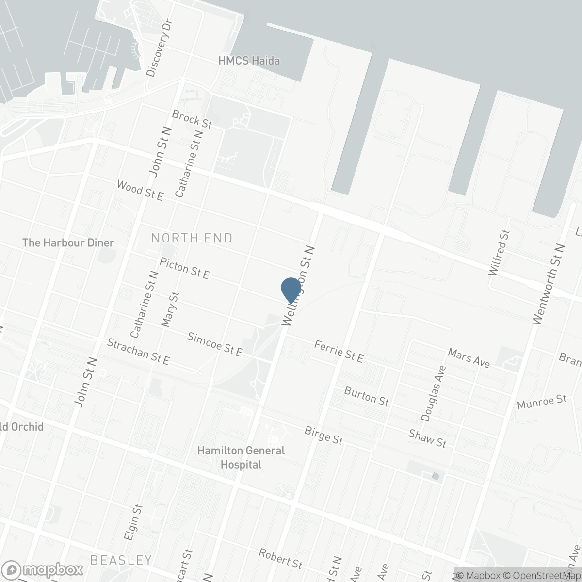 463 WELLINGTON Street N, Hamilton, Ontario L8L 5B4
